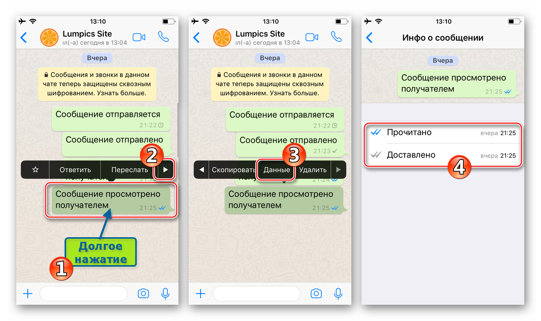 WhatsApp для iPhone вызов экрана со сведениями о сообщении через меню опций